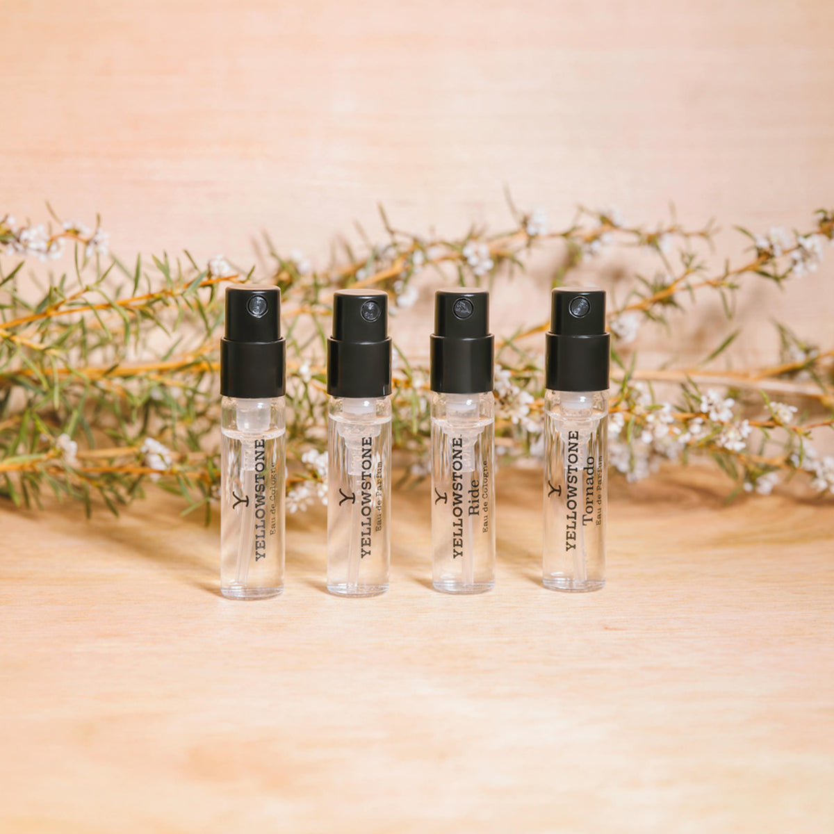 Yellowstone Discovery Set