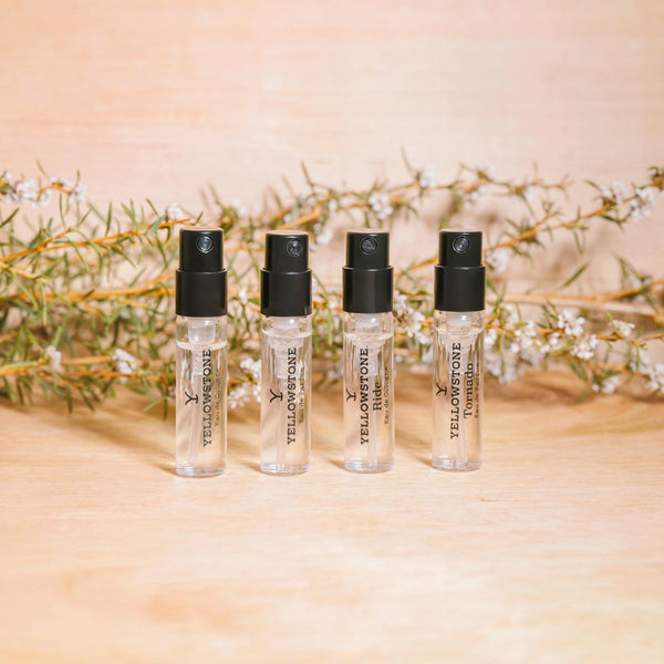 Yellowstone Discovery Set