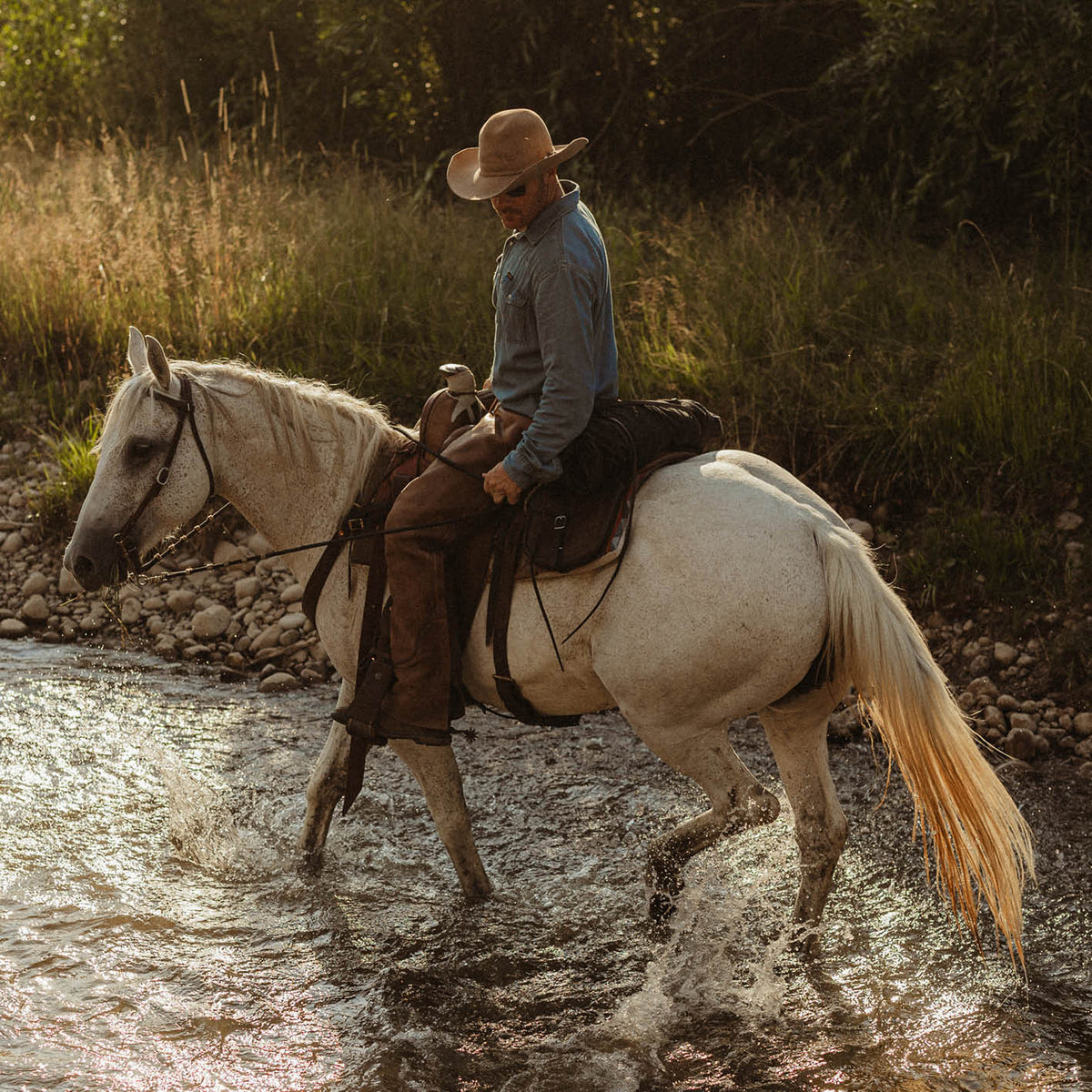 Man riding a white horse through a shallow stream in a natural setting