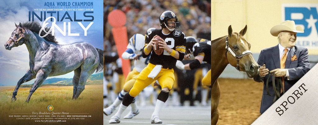 Terry Bradshaw Quarter Horses