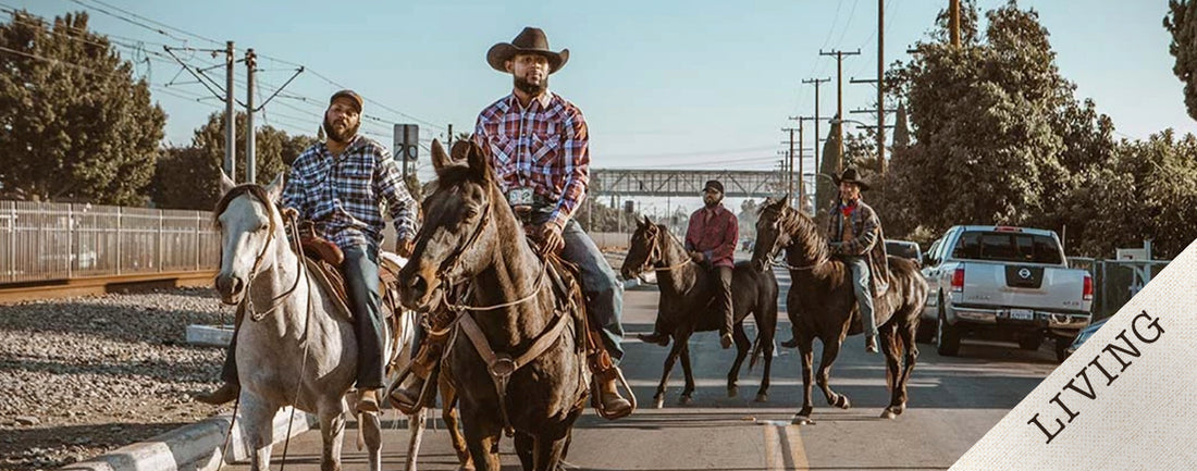 South Central By Horse
