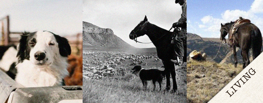 Keeping With Tradition