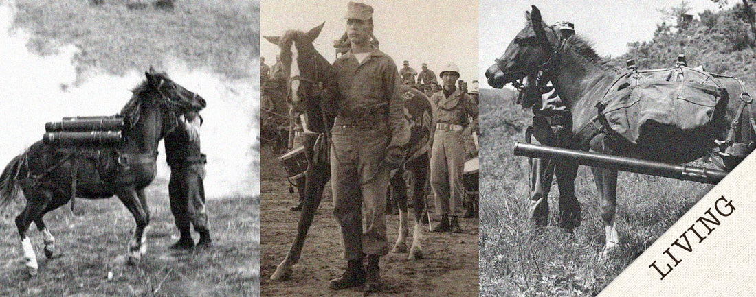 Sergeant Reckless