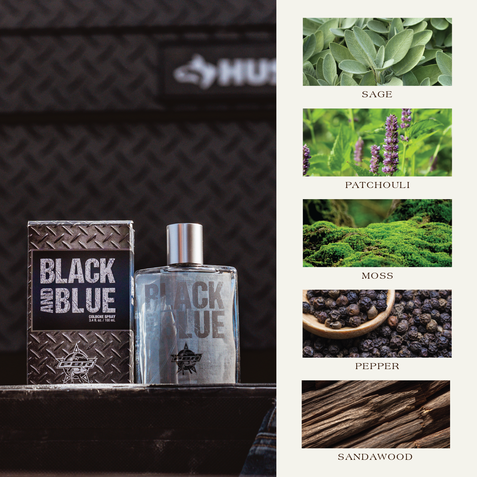 Black and Blue Cologne