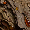 Amber wood