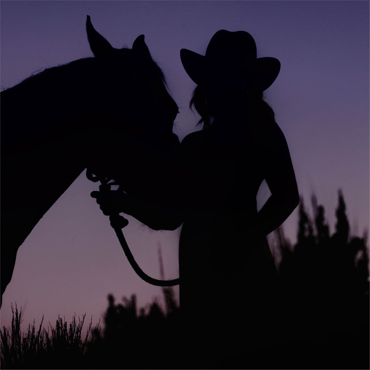 Yellowstone Dusk Perfume