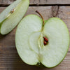 Green Apple