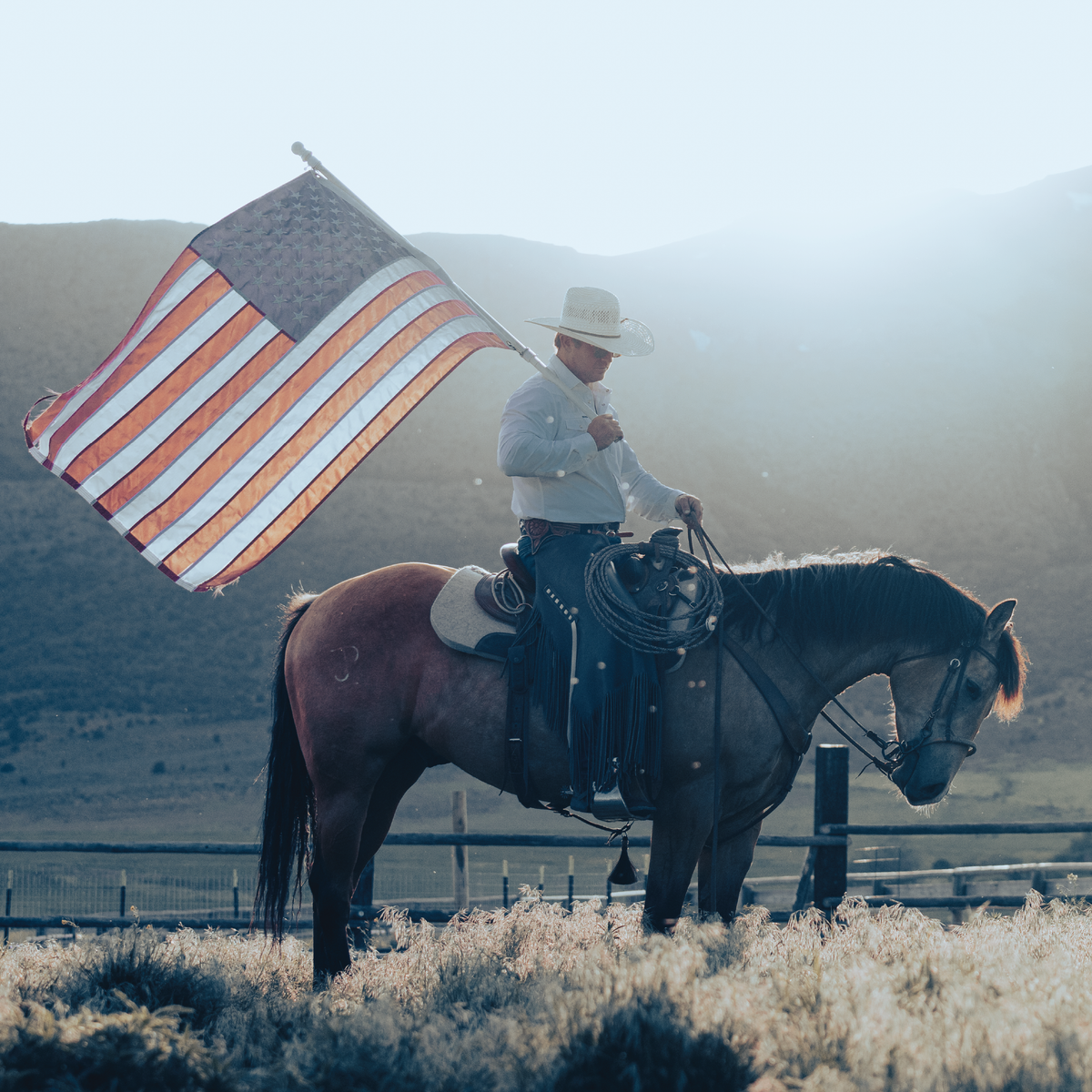 Man on horseback holding an American flag in a field with mountains in the background