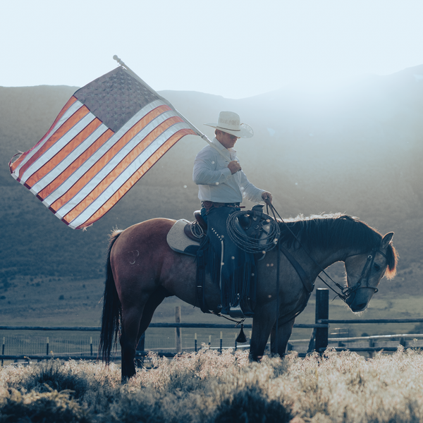 Man on horseback holding an American flag in a field with mountains in the background