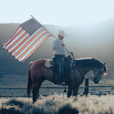 Man on horseback holding an American flag in a field with mountains in the background