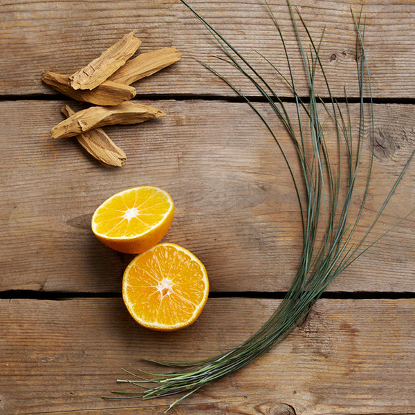 Sliced orange, dried herbs, and green leaves on a wooden surface