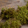 Oakmoss
