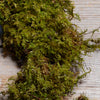 Oakmoss
