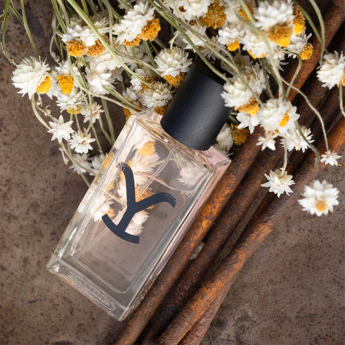Yellowstone Original Perfume