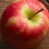 Pink Lady Apple Blossom