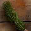 Georgia Pine