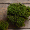 River Moss