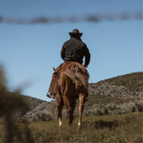 Person riding a horse in a desert landscape with mountains in the background