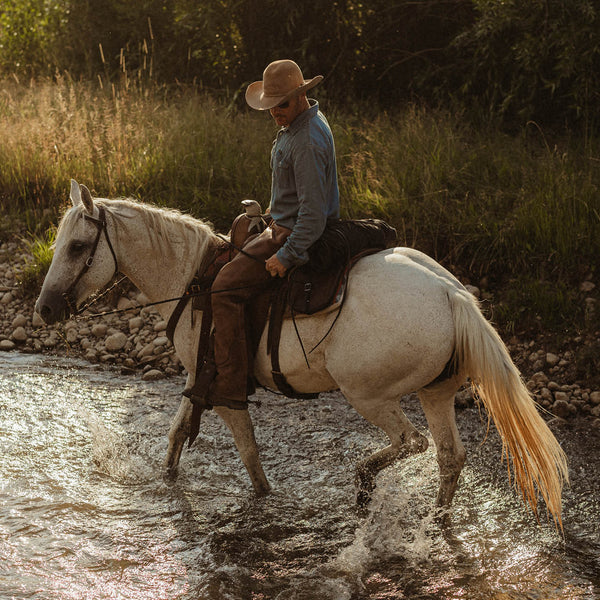 Man riding a white horse through a shallow stream in a natural setting