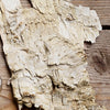 White Woods
