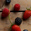 Wild Berries