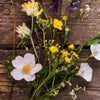 Wild Blooms