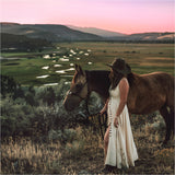 Yellowstone Dusk Purse Spray