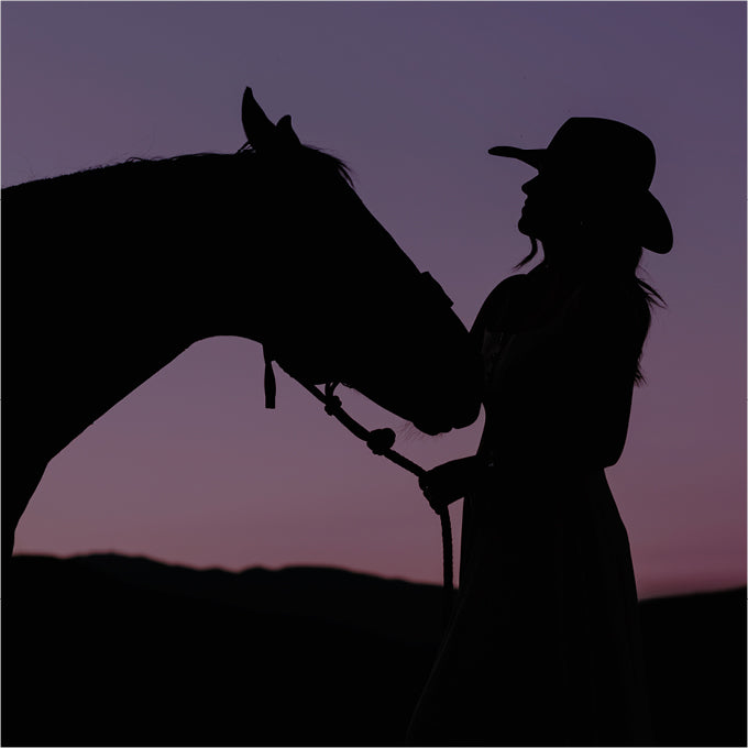 Yellowstone Dusk Purse Spray