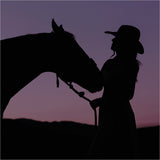 Yellowstone Dusk Purse Spray