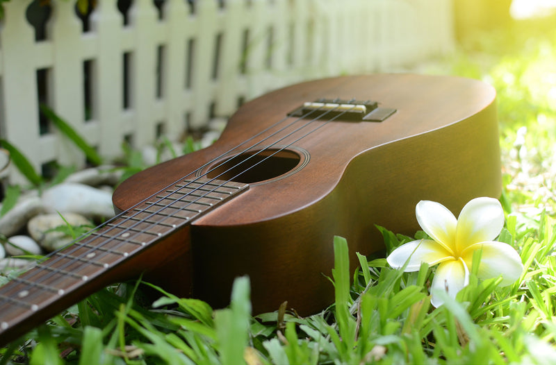 Love & Lyrics