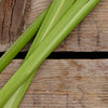Vetiver
